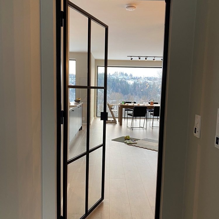 stiklo-metalo-durys-namams-stiklinės-durys-izoliuojančios-šilumą-praktiškos-stiklinės-durys-stiklinės-durys-su-metalo-rėmais